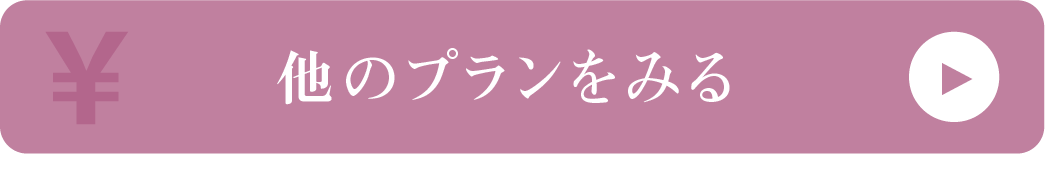 料金プランの詳細はこちら