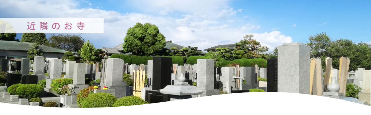 近隣のお寺情報
