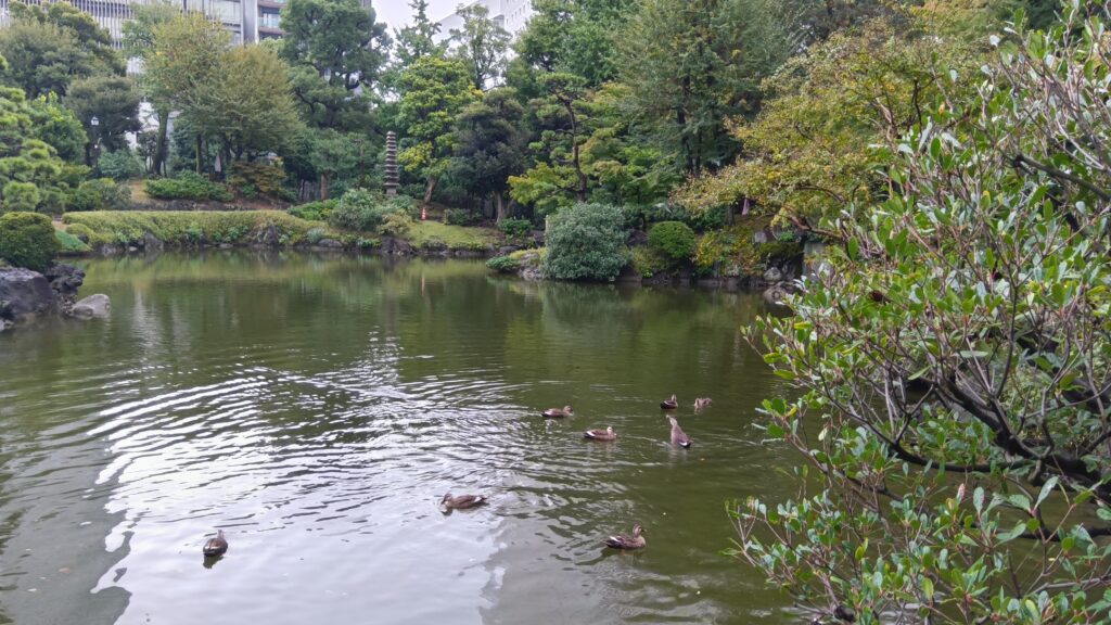 学園都市 黒子 SP tMPyaQnMbN20250709121030.jpg